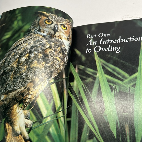 🌻4/$20 Vintage How to Spot An Owl Softcover 1994 Softcover Book Chapters Publ - Picture 5 of 16
